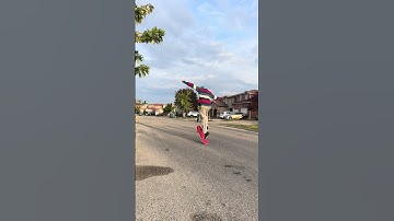 Pop Shuv It Revert • Trick Of The Day #shorts