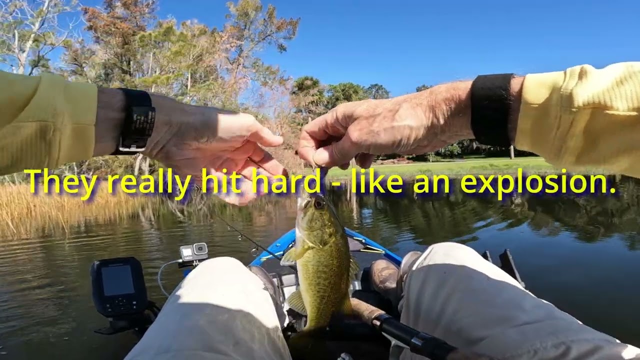 Kayak Bass Fishing Leesburg Florida October 23 2022 YouTube