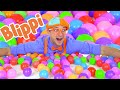 Blippi Fun and Learning With Color Balls | 1 Hour Of Blippi Learning Videos