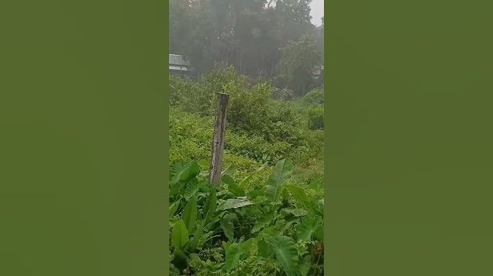 কতদিন পর অবশেষে দেখা মিলল এনার🌨️#youtubeshorts#viralvideos#subscribemychannel