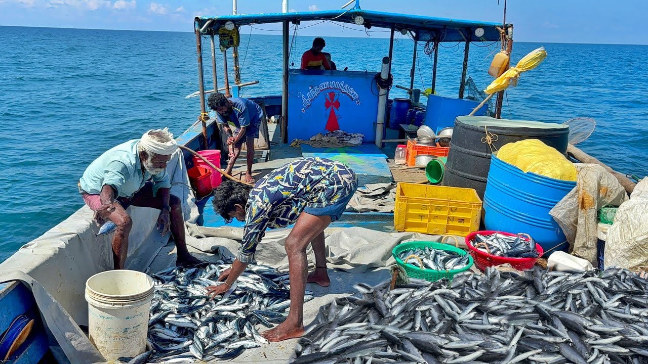 Second Day Great Day 🤩 | We Caught Lot of Flying Fishes in Deep Sea Fishing