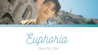 [Color Coded] Euphoria - Eric Nam cover