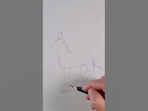 Собака породы ДОГ #рисунки #рисункидлясрисовки - YouTube