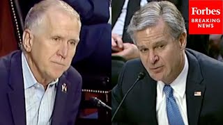 ‘Do You Think All The FBI Agents… Are Bastards?’: Thom Tillis Grills FBI Chief Wray