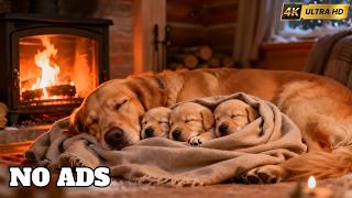 12 Hours Dogs Calming Music 🎶 Dogs Anxiety Music - Dogs Soft Audio For Relaxation And Happy Dog Mood