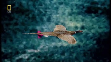 Episode 5: North Korea Missile Test Footage | SHOCKING SECRETS REVEALED