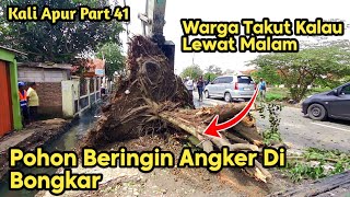 Download Lagu Warga Minta Pohon Beringin Angker Dibongkar || Mereka Takut Lewat Malam MP3