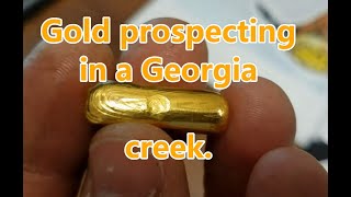 Gold prospecting ⛏in a very small creek in state of Georgia. Gold prospecting with acids