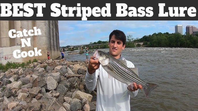 TOP 5 STRIPER LURES for Fresh Water Dam Fishing