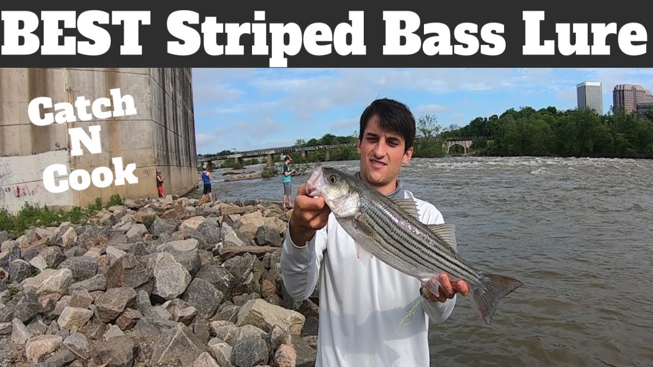 Best Lure For Striped Bass: How To Catch Striped Bass From Shore - Catch &  Cook