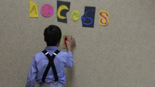 What is the Access To Art Mentorship Program?