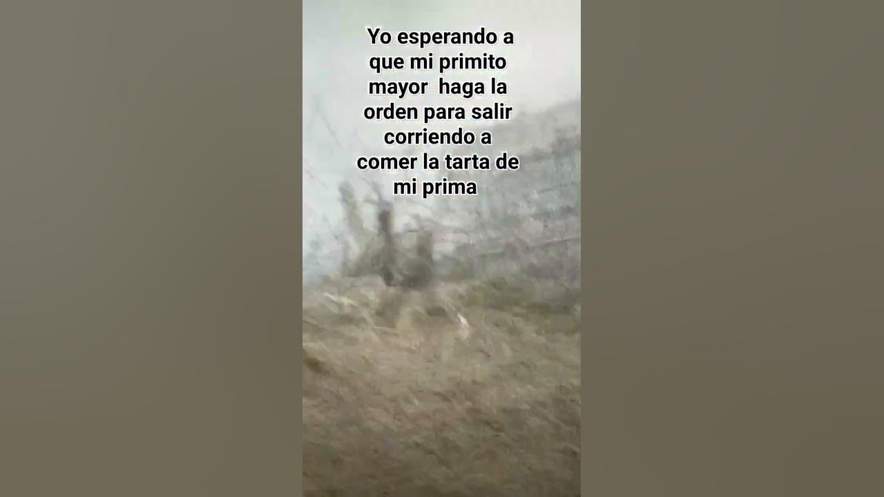 ozzy osbourne se comió un murciélago