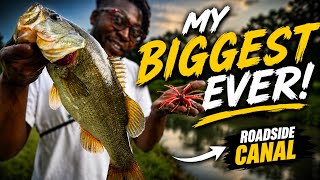 ROADSIDE CANAL PB?!