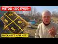 Метод «300 пчел»: Как точно определить силу отводка перед зимовкой