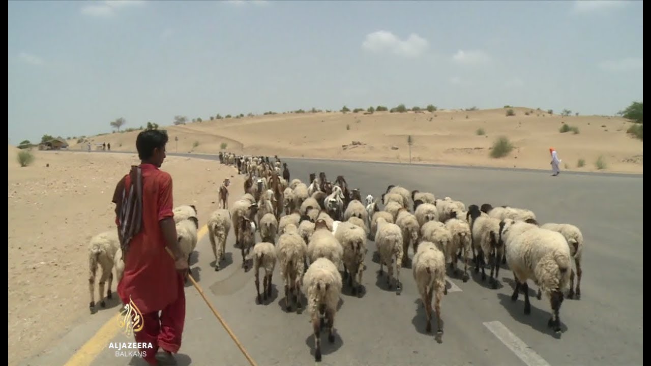 جنوب باكستان لم تشهد هطول أمطار لعدة أشهر
