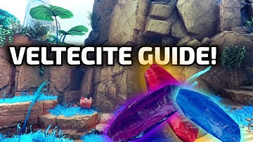 VELTECITE GUIDE | THE CYCLE FRONTIER