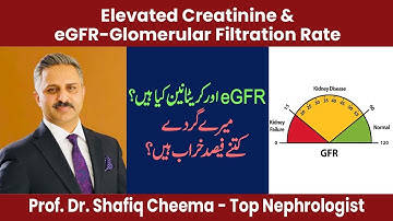 Elevated Creatinine & eGFR | What is Your Stage of CKD?