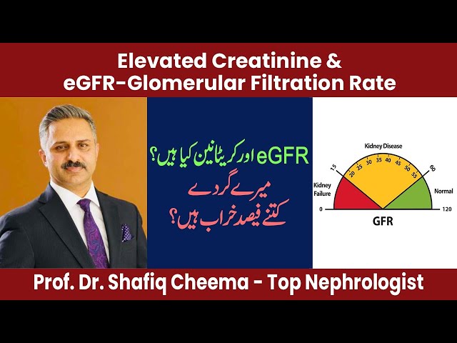 Elevated Creatinine & eGFR | What is Your Stage of CKD? class=