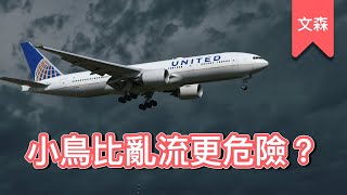搭上飛機的小秘密｜《機艙機密》｜文森說書
