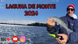 LAGUNA DE MONTE 2024 🎣  PESCA DE PEJERREY 🔥🎣