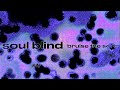 Soul blind  bruise the sore official audio