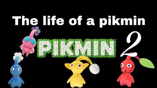 The life of a pikmin 2