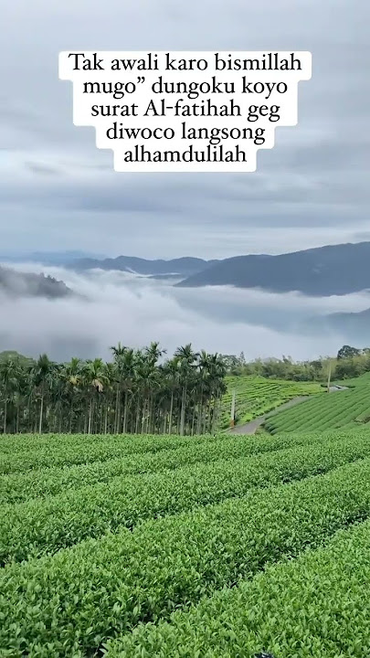 Inilah lokasi perkebunan teh di taiwan