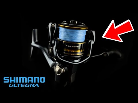 Best Budget Spinning Reel?? (Shimano Ultegra Review) 