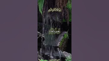 اجمل تلاوة في الصباح 💚🥀صباح الخير والسعادة والأمل ♥️🥀