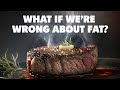 The actual cause of obesity fat with tera fazzino