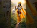 श्री कृष्ण का दिव्य शांत रूप💛! Pure Peace | Lord Krishna 🙏 #shorts #viral #krishna #ai