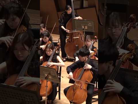 #まほでし デュカス/魔法使いの弟子 #タクティオケ #オーケストラ #orchestra #魔法使いの弟子 #デュカス - タクティカートオーケストラ