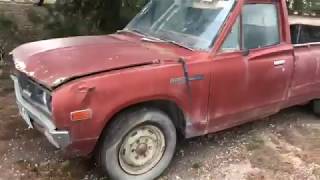 Datsun 1500  First Start  After 20 Years  Shed Blown Over