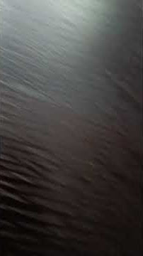 1764313723249_1000007135