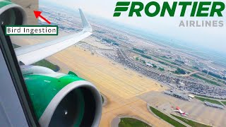 BIRD INGESTED BY ENGINE: Frontier Airlines Airbus A321neo Takeoff from Dallas/Fort Worth (DFW)
