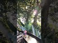 tiko tiko mirador bijagual Costarrica