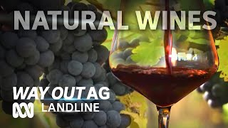 Natural Wine: the alternative winemakers winning over drinkers  | Way Out Ag Ep6 | ABC Australia