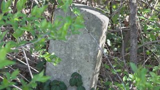 Keep Knoxville Beautiful had over 100 volunteers help clean up Long View Cemetery