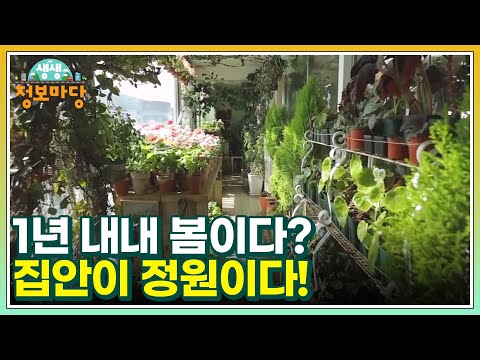 1년 내내 <strong>봄이다</strong>? 집안이 정원이다! MBN 230309 방송