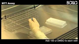 MTT Assay.wmv