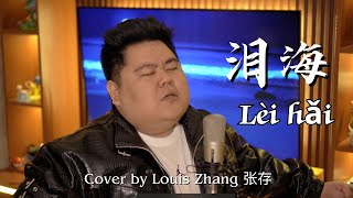 Lèi hǎi 泪海 -  Cover by Louis Zhang 张存