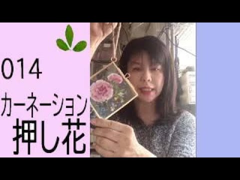 アイロンでラミネート加工する押し花しおり Youtube