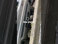 Audi Q7 2010 cold start straight pipe exhaust