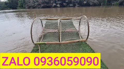 Lờ bẫy cá lóc, Bẫy cá lóc, Lờ cá cải tiến, lợp cá lóc, lợp bẫy cá cải tiến.