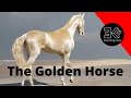 The akhal teke