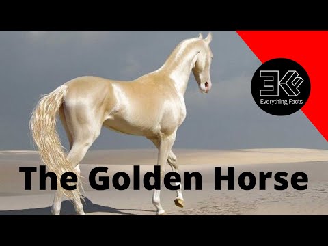 The Akhal Teke