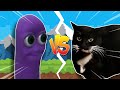Beanos VS Maxwell The Cat