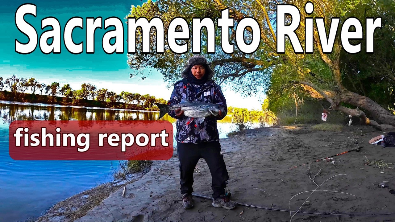 2026 Sacramento River Striper Fishing and Report
