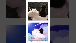 Httpsvttiktokcomzslxtyh1g