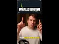 🐋 UNI Whales Are Quietly Buying. We Should Listen.